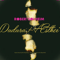 Dudura / Æsthei cover art
