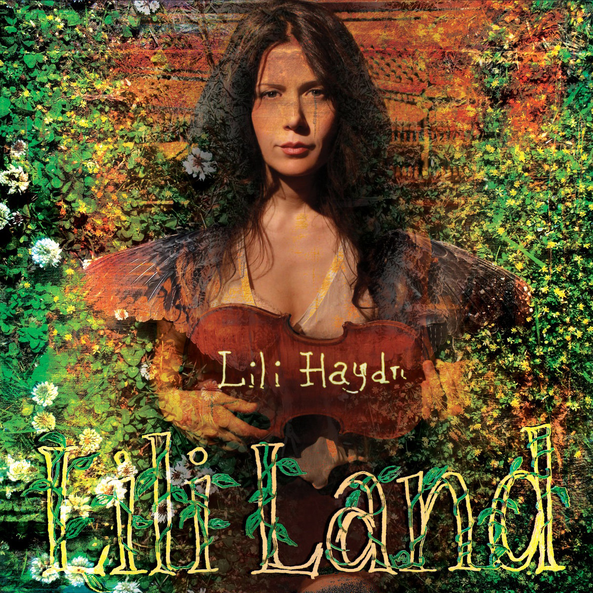 LiliLand | Lili Haydn