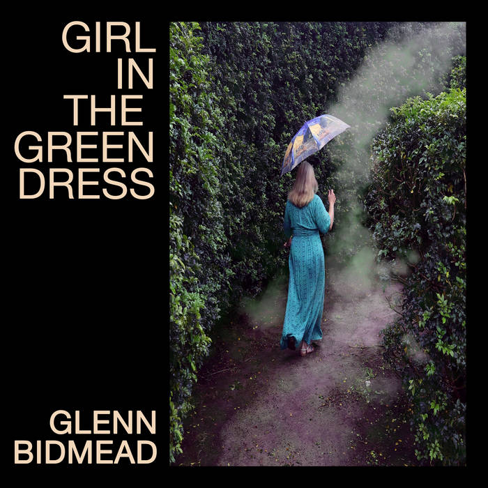 the girl in the green dress book with girl in green dress on cover