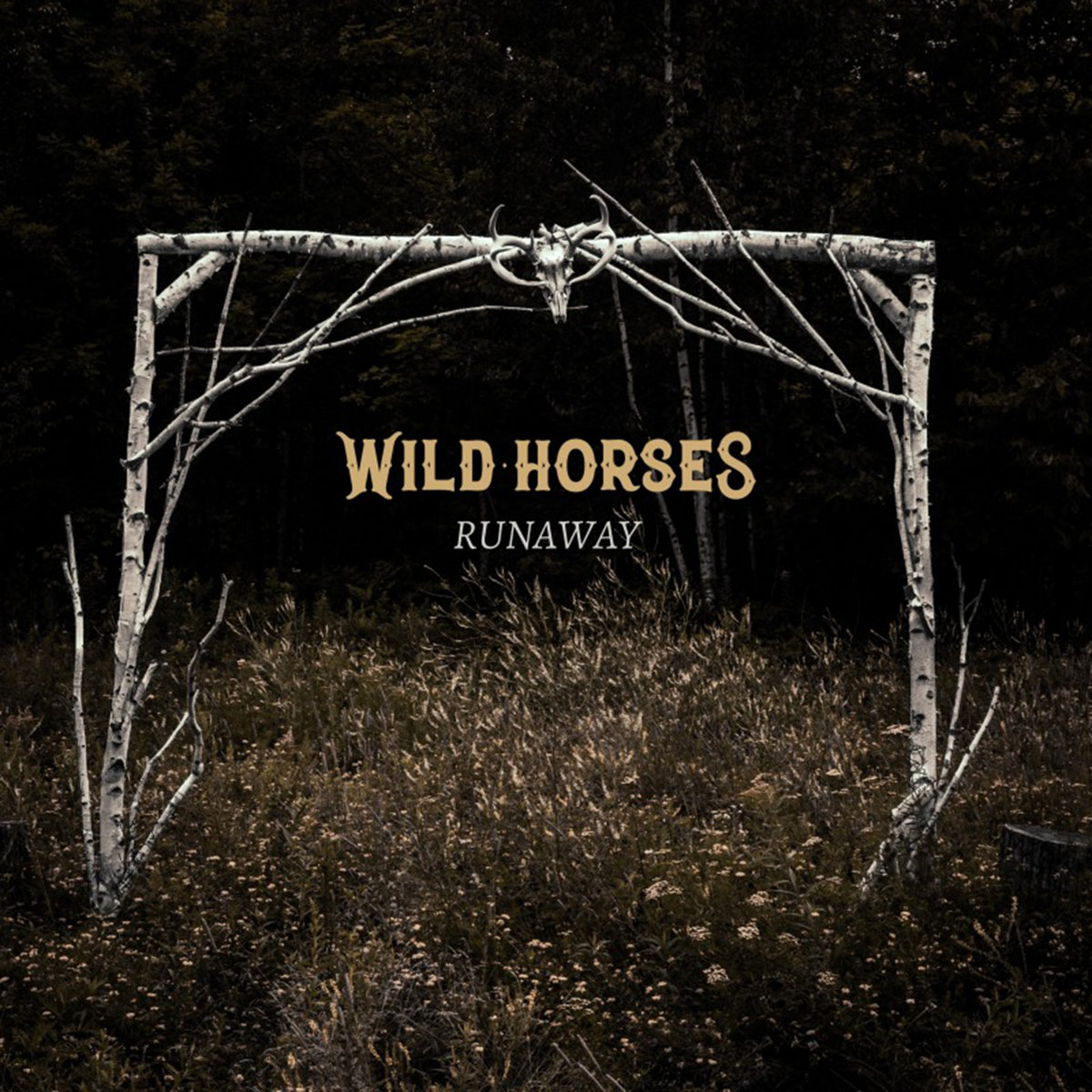 Runaway | Wild Horses