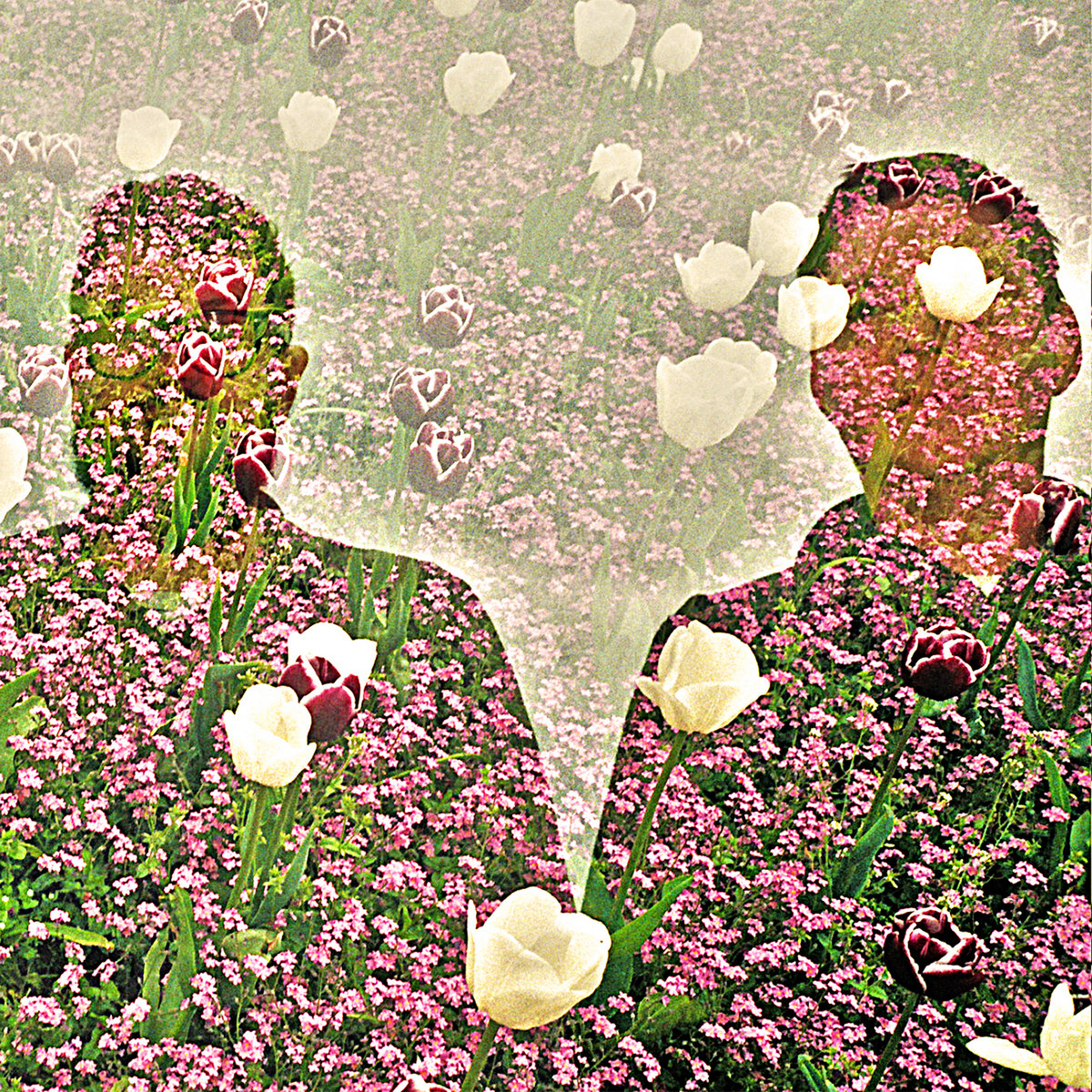 Pochette Bandcamp