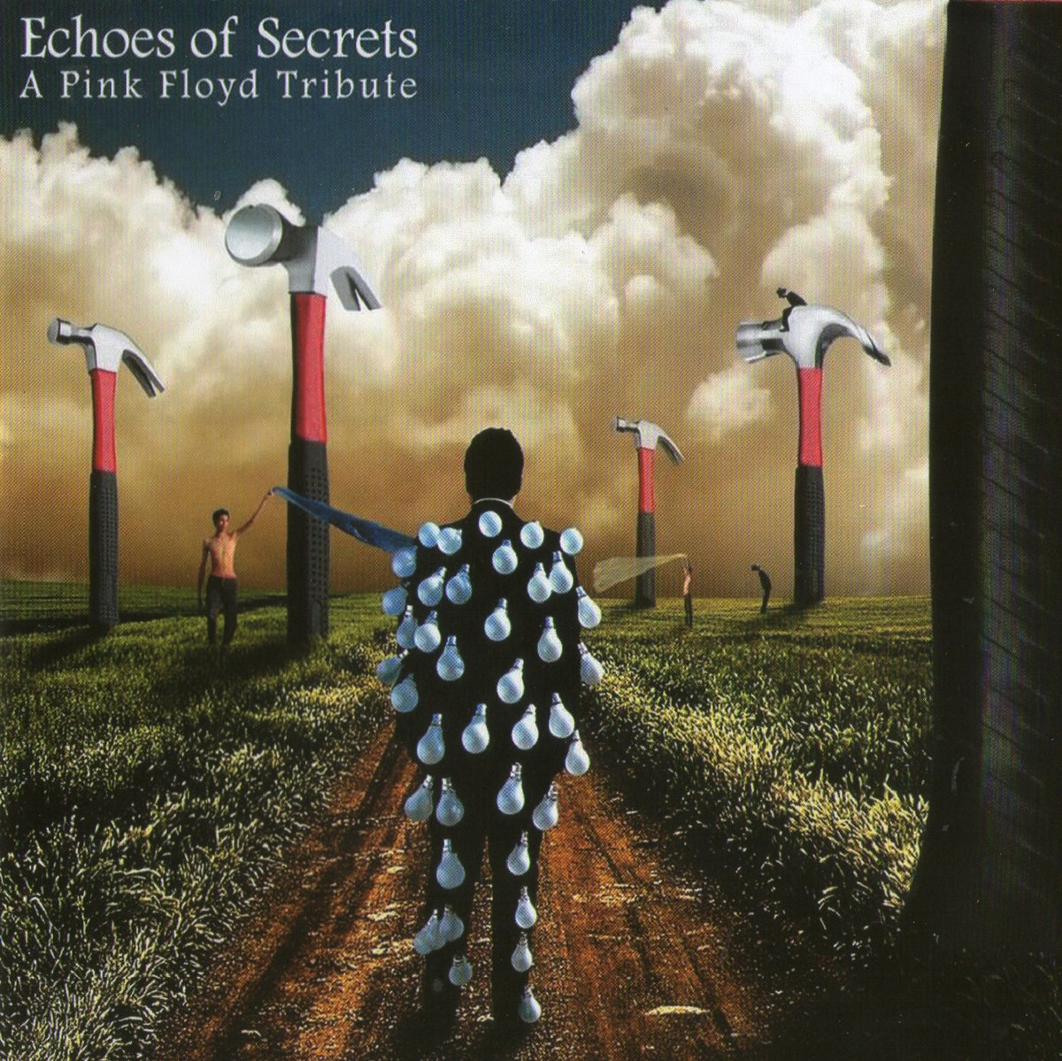 Echoes of Secrets (A Pink Floyd tribute) | VARIOUS ARTISTS | Mellow label  productions