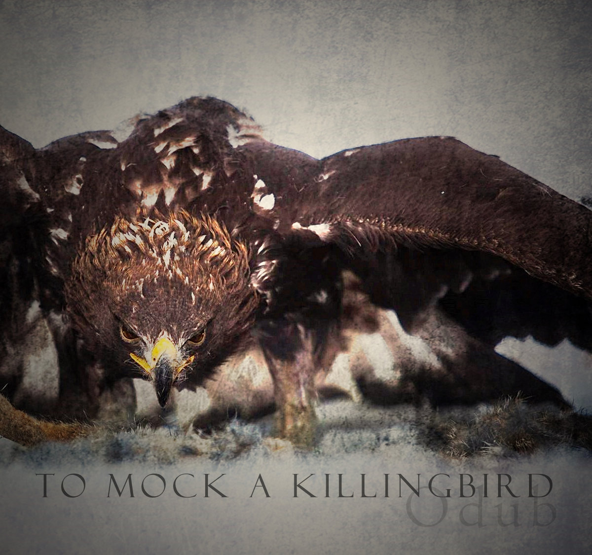 To Mock A Killingbird | Kris "Odub" Hampton