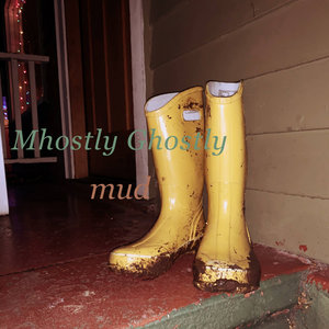 mud cover
