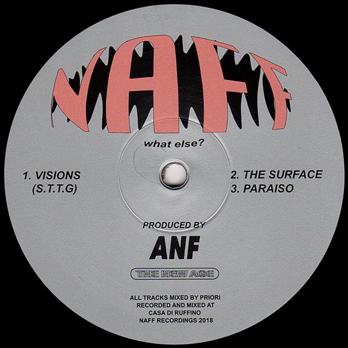 Visions S T T G Naff Recordings