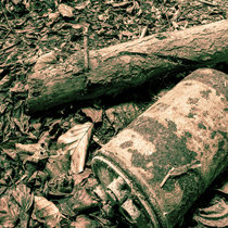 Are You Ready cover art