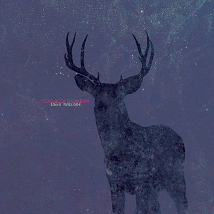 SOMEDAY THE THIRTEENTH 38灯別注モデル HOLIWEL