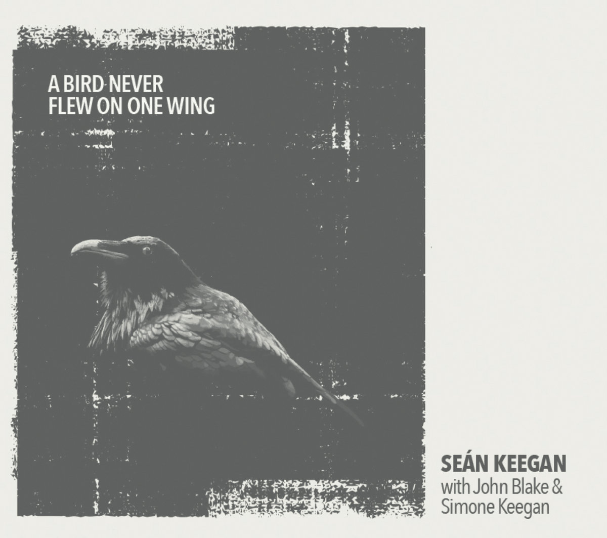 A Bird Never Flew on One Wing cover