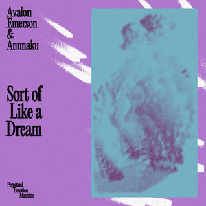 Sort of Like a Dream feat. Anunaku cover
