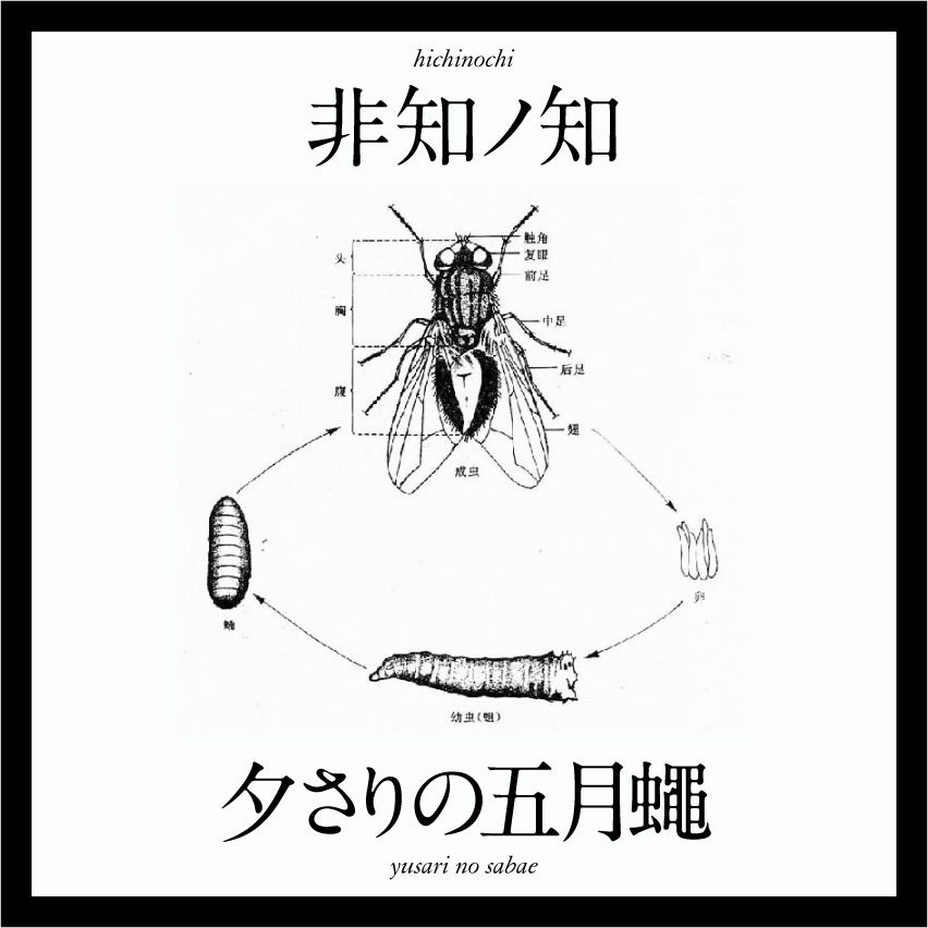 五月蠅雅歌 非知ノ知 Hichinochi Mado