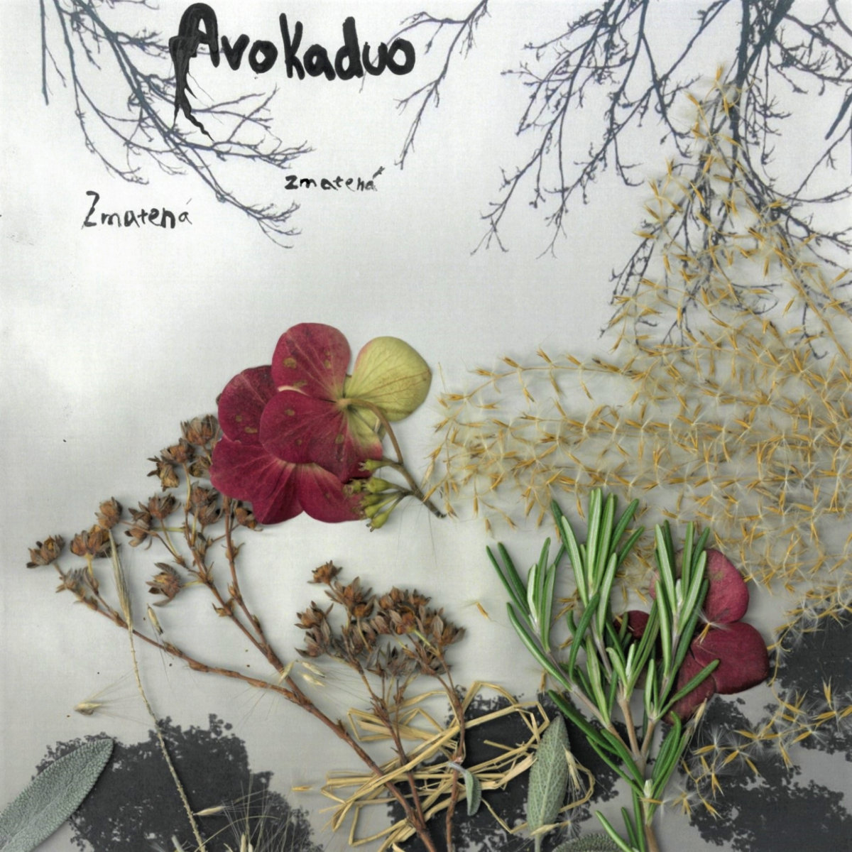 Avokaduo – Zmatená Zmatená Avokaduo – Zmatená Zmatená