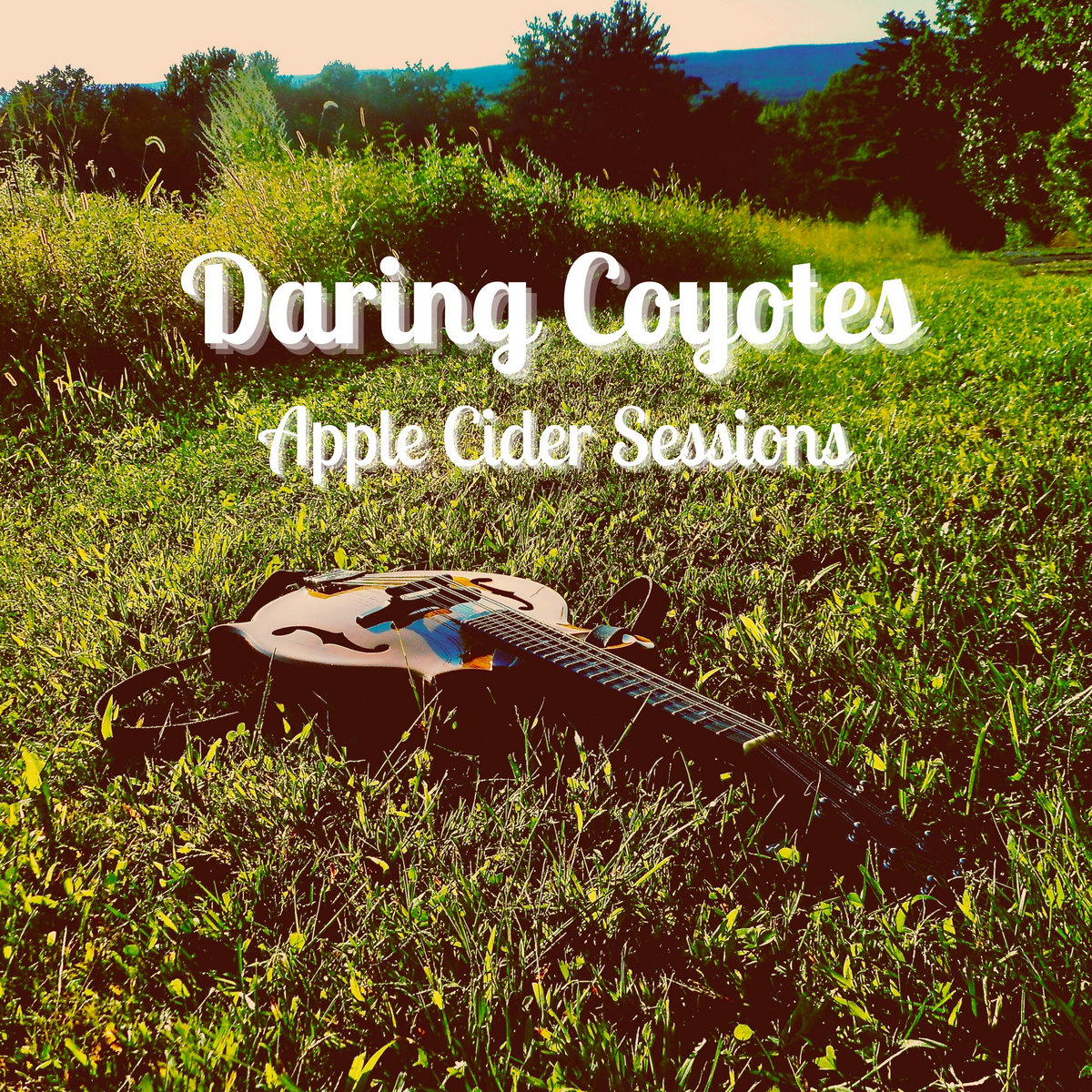 Normans House | Daring Coyotes