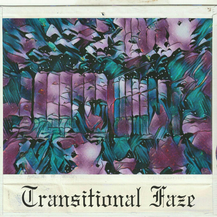 Trip Through a Black Hole Transitional Faze The Muted Heart + Transitional Faze