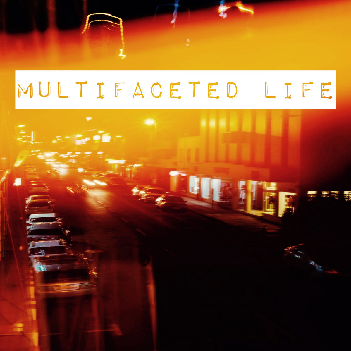 ellen heidsingfelder multifaceted life - Image 2