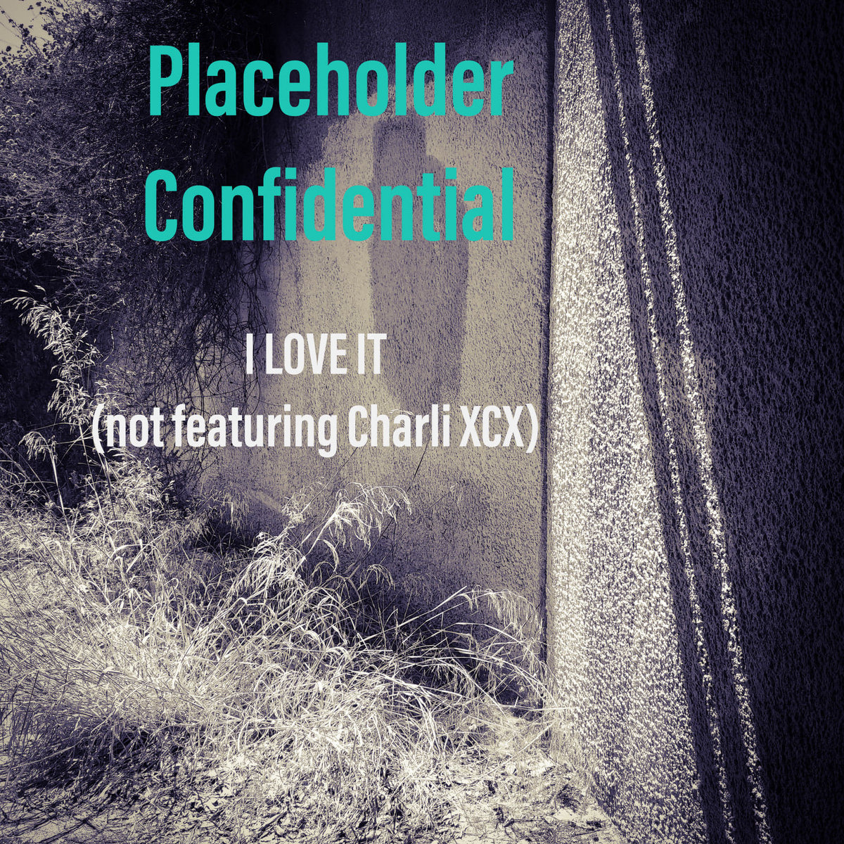 I Love It Not Featuring Charli Xcx Placeholder Confidential placeholder confidential bandcamp