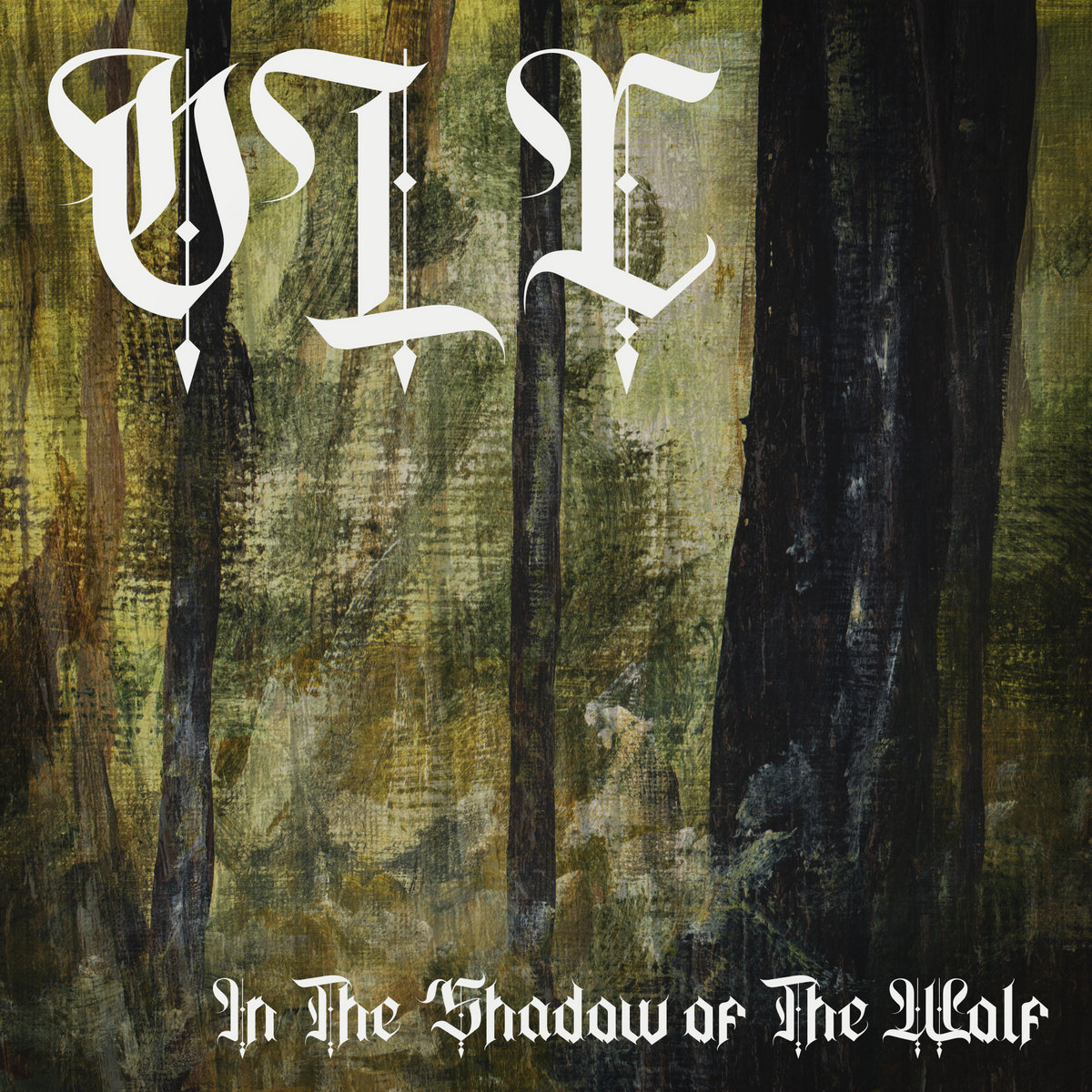 In The Shadow of The Wolf cover