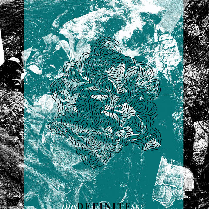 The cover image of Holographic Sky by Definite Beast. The album cover is a pencil drawing of lines that form a shape resembling a chrysanthemum that is overlaid on a background of leaves. 