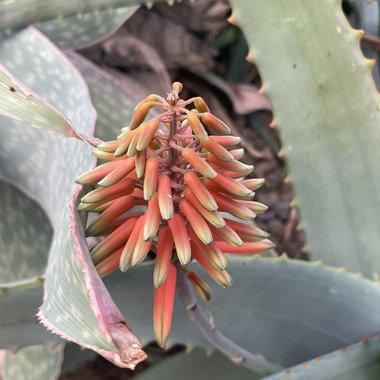 finding moments main photo