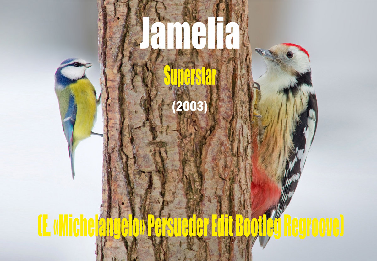 Jamelia Superstar E. Michelangelo Persueder Edit Bootleg