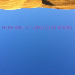 How Will I ?  (Sing Leaf Remix) cover