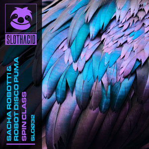 Spin ClassSacha Robotti, Robot Disco Puma cover