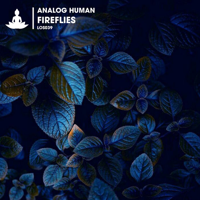 Fireflies | Analog Human