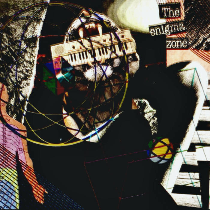 Enigma Zone Bradford Thomas