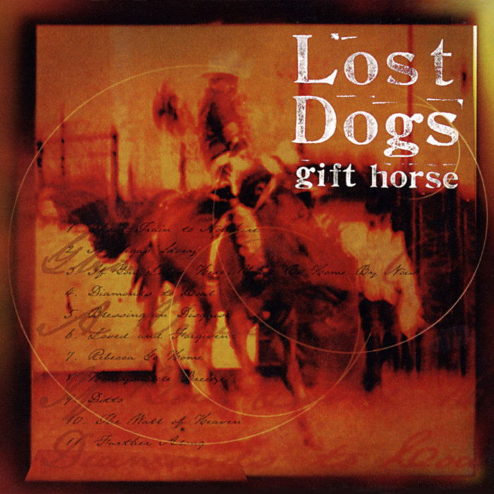 A Blessing In Disguise, by Lost Dogs