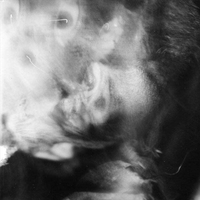 Omnipathy / Theopathy | One Lifeless Eye