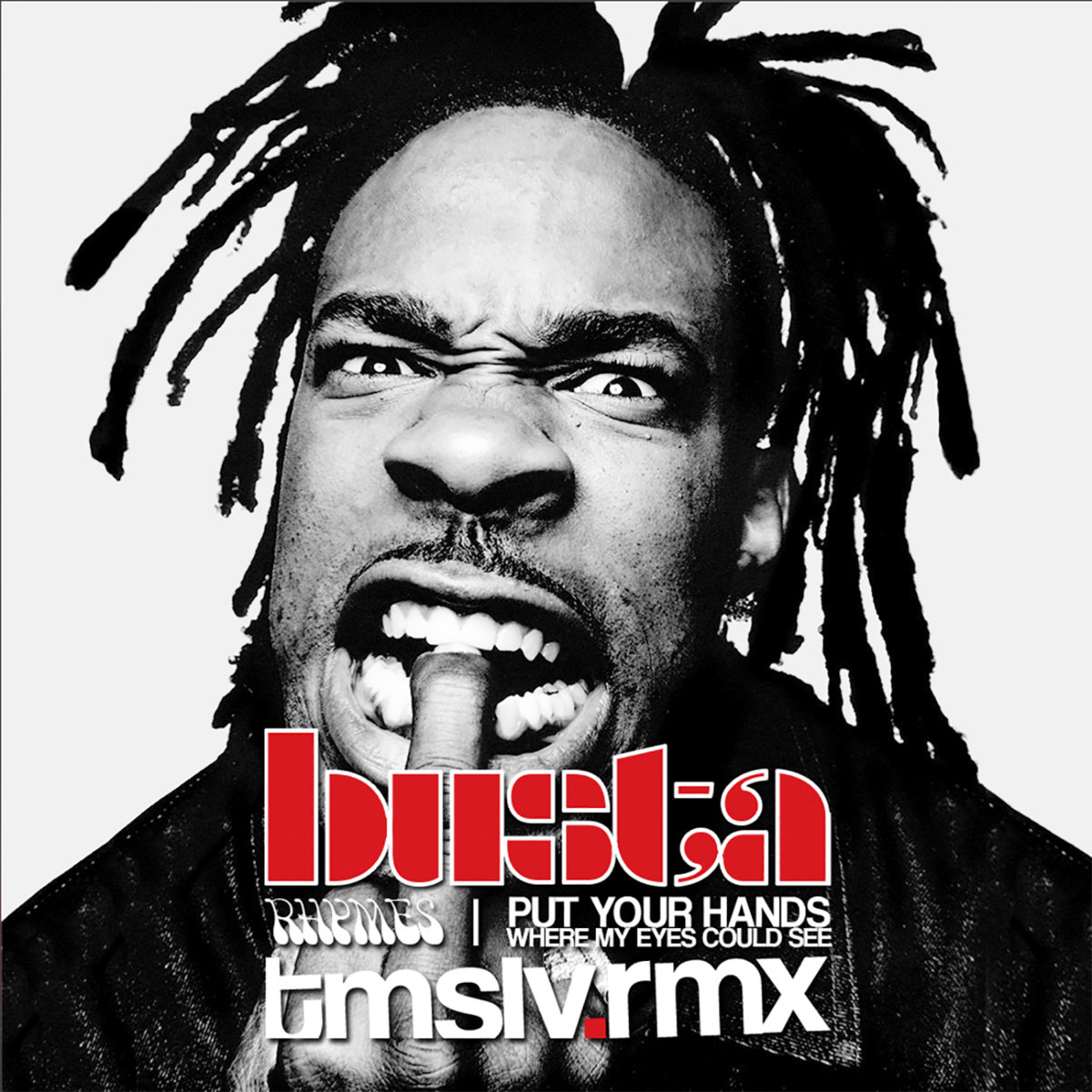 put your hands where my eyes could see (tmslv.rmx) busta rhymes tmslv.