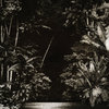 HGHLF026: Nicola Cruz ~ Arpejos da Floresta