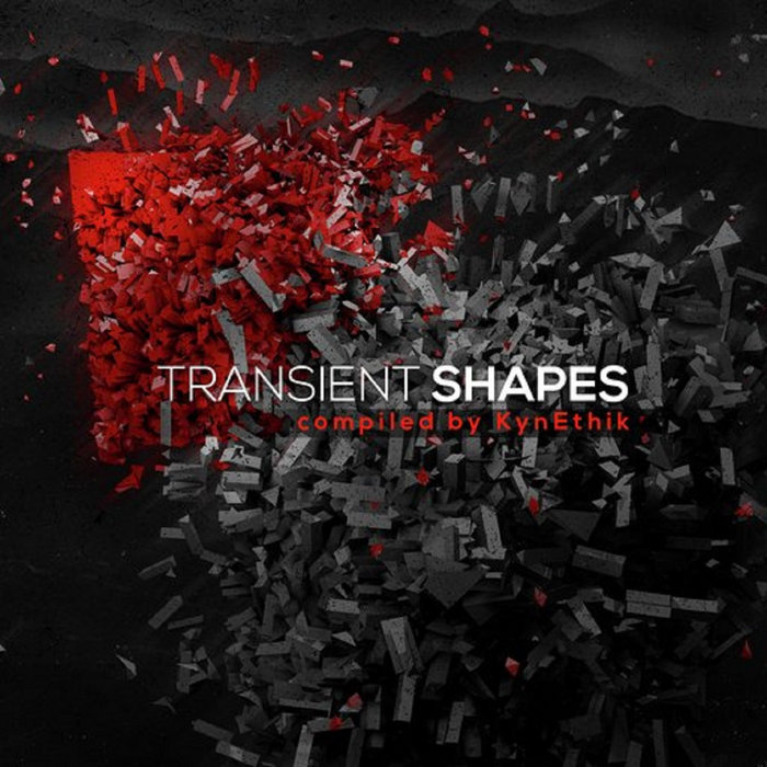 Transient Shapes 247 Records 24/7 Records