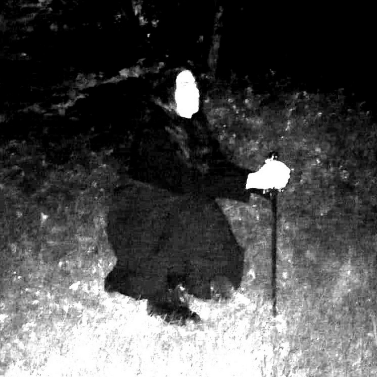 Promo 2024 | Couvent Noir & Ardente | Lila Starless