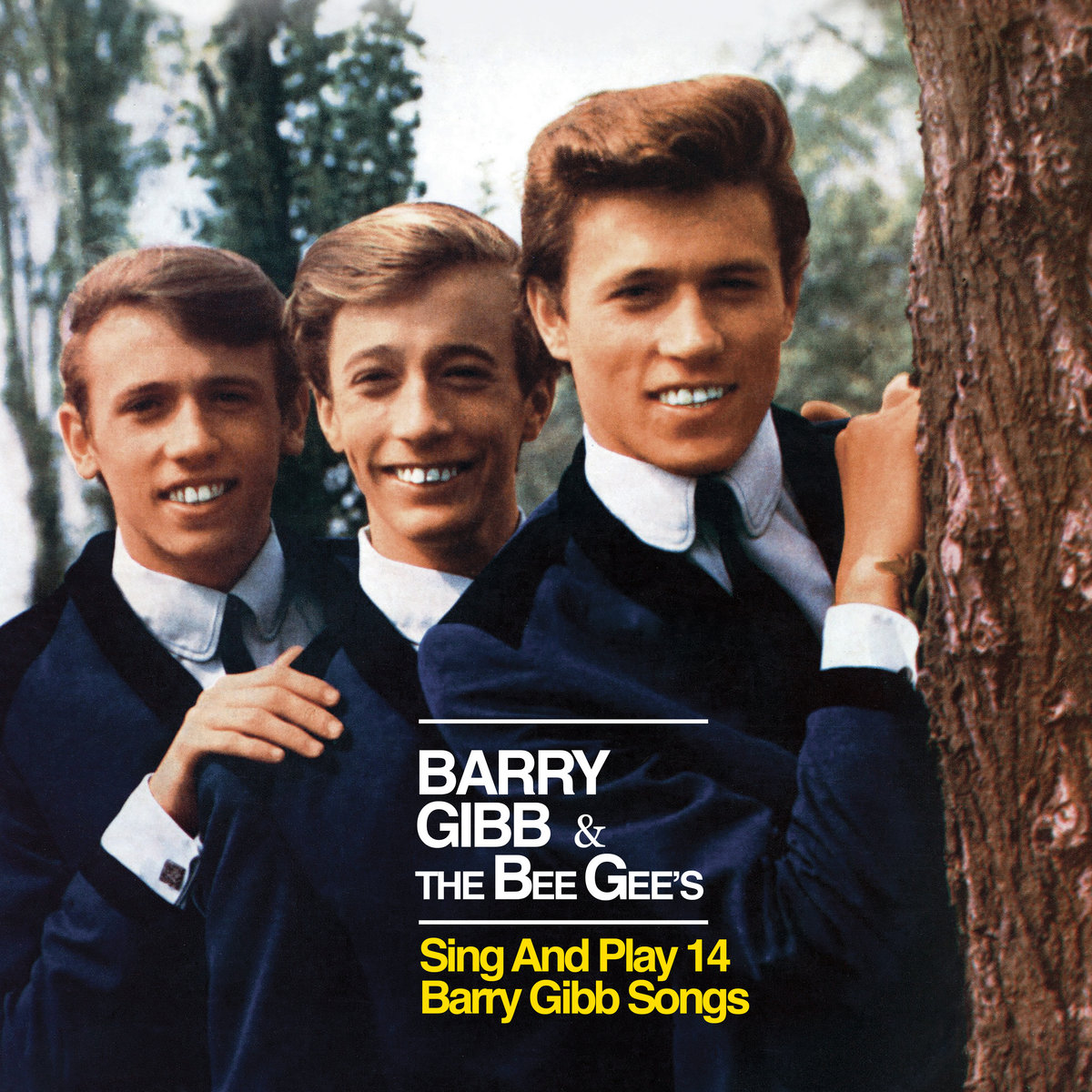 The Bee Gee's Sing & Play 14 Barry Gibb Songs | The Bee Gees