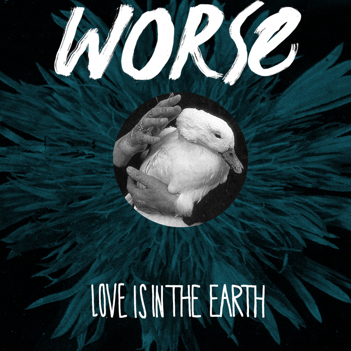 Love Is In The Earth Book