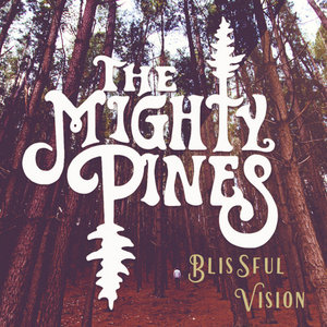 Blissful Vision cover
