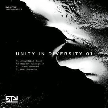 UNITY IN DIVERSITY 01 | Various Artists | REVERSE