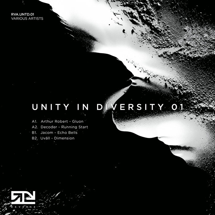 UNITY IN DIVERSITY 01 | Various Artists | REVERSE