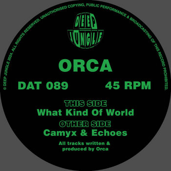 英3LP Subjects Evolution (3LP) DAT004LP Deep Jungle /00400 DAT004LP Subjects - Evolution | Subjects | Deep Jungle Records