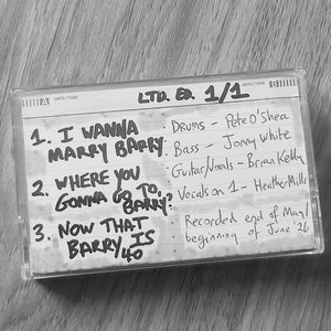 The Richardsongs EP cover