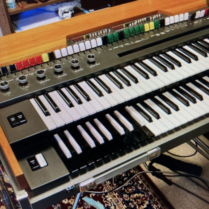 Xmx Instrument XMFX SAMPLES 25 | Xiu Xiu | XIU XIU