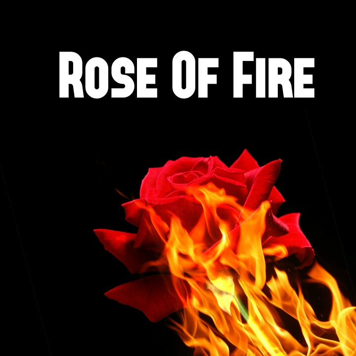 Checkbook Pro 2 6 Download Free