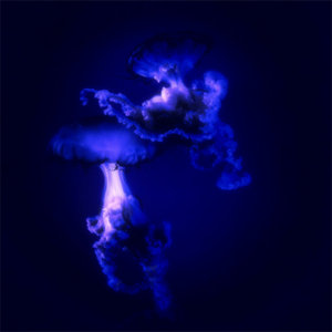 Waves Crashing — In The Blur (Remixed)