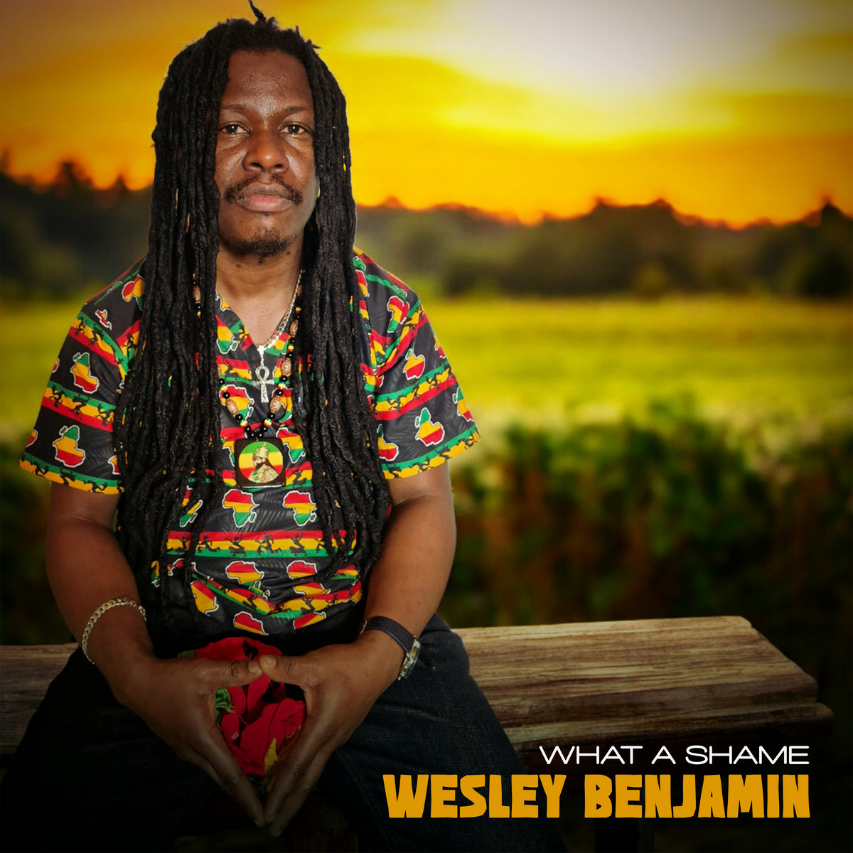 What A Shame | Wesley Benjamin | Reality Shock