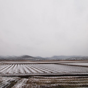 above the northern skies shown cover