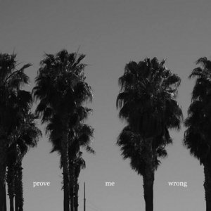 Prove Me Wrong cover