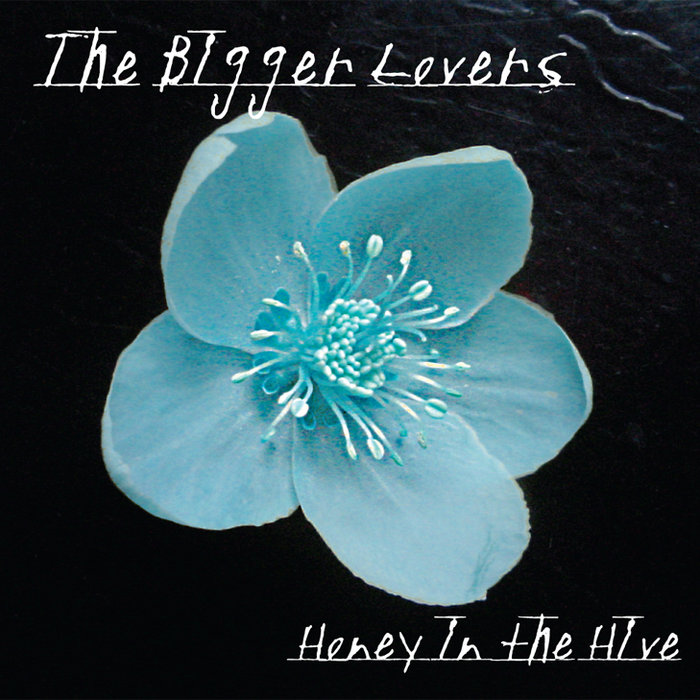 Honey In The Hive | The Bigger Lovers