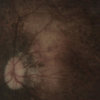 palespektre.bandcamp.com