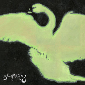 Swan cover