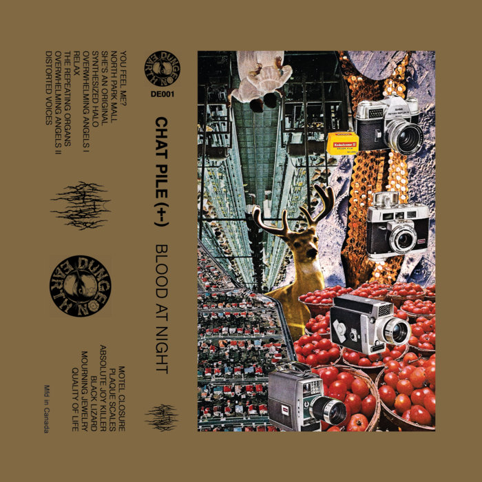 Chat Pile (+-) - Blood at Night